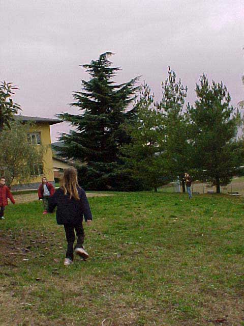 Mvc-011f.jpg, 61264 bytes, 29/09/01
